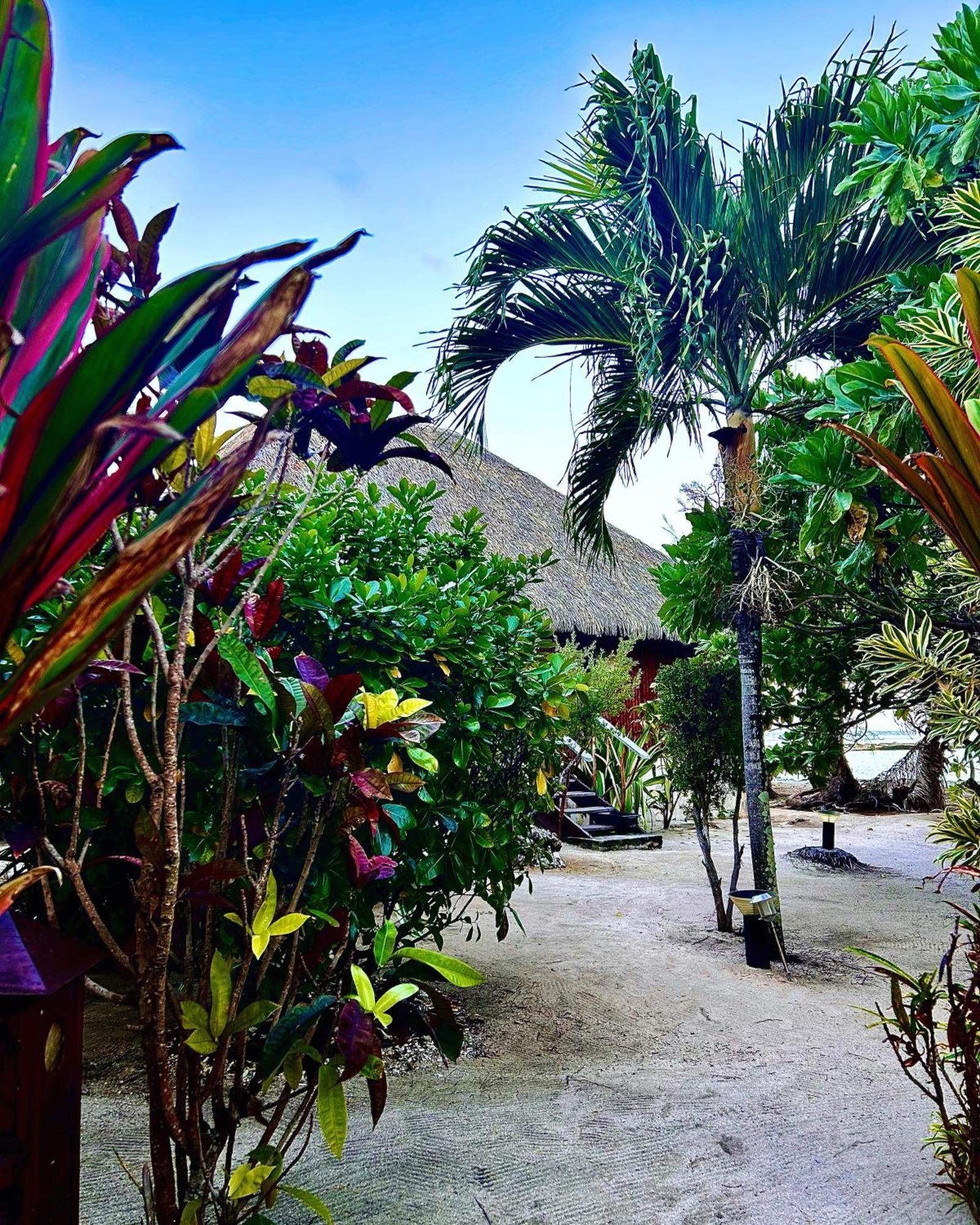 Eden Private Island Tahaa Hotel Patio  Bagian luar foto