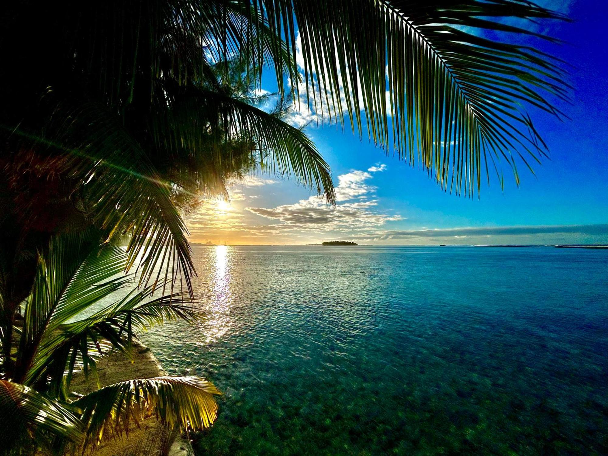 Eden Private Island Tahaa Hotel Patio  Bagian luar foto