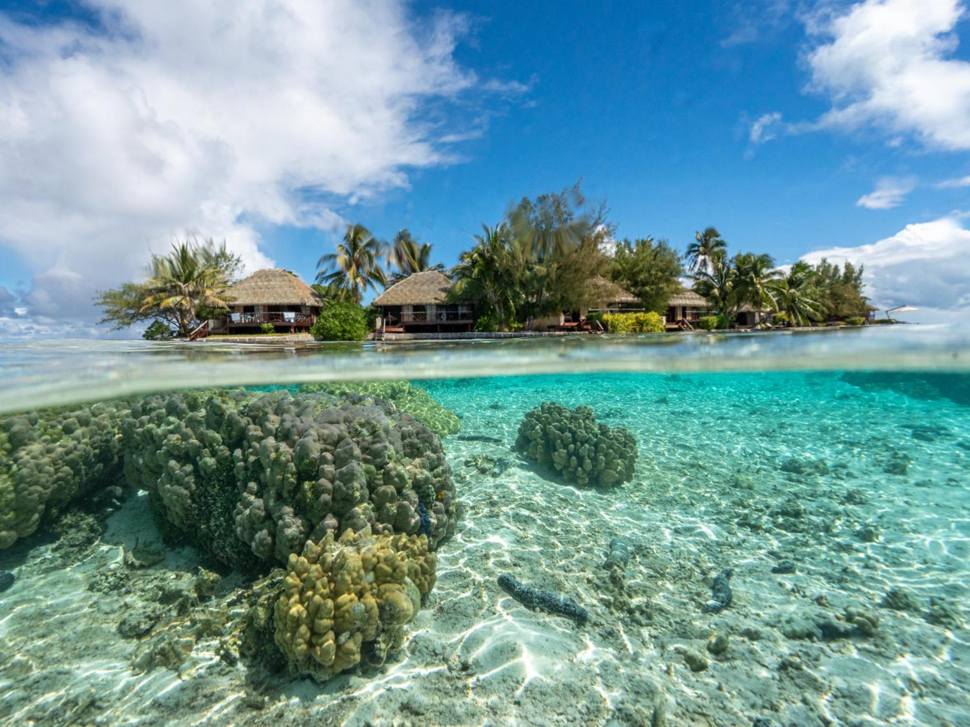Eden Private Island Tahaa Hotel Patio  Bagian luar foto