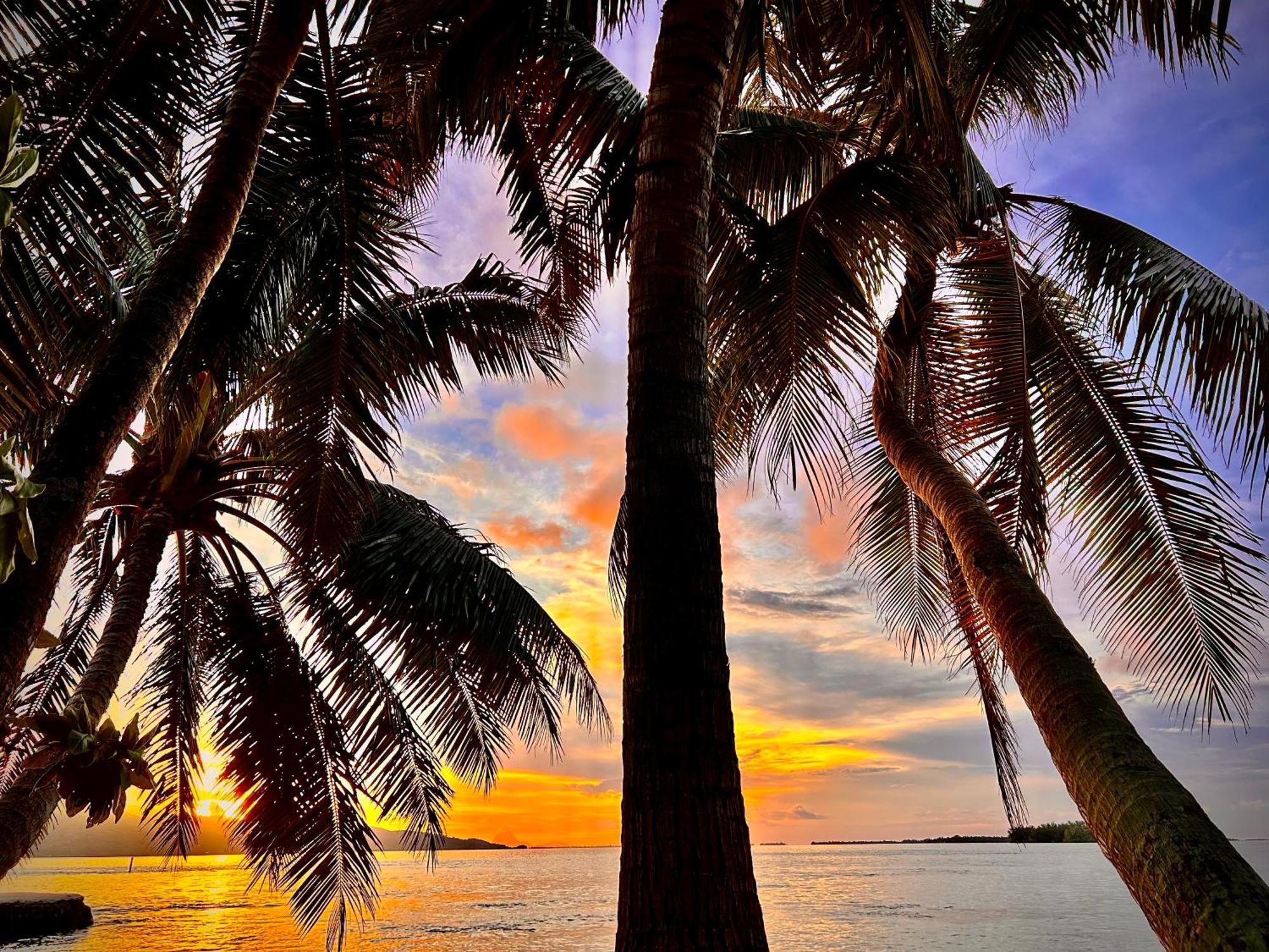 Eden Private Island Tahaa Hotel Patio  Bagian luar foto
